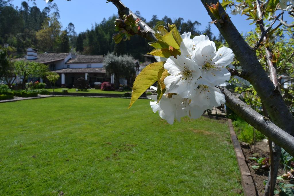 Quintal De Alem Do Ribeiro-Turismo Rural Lousã Exterior foto